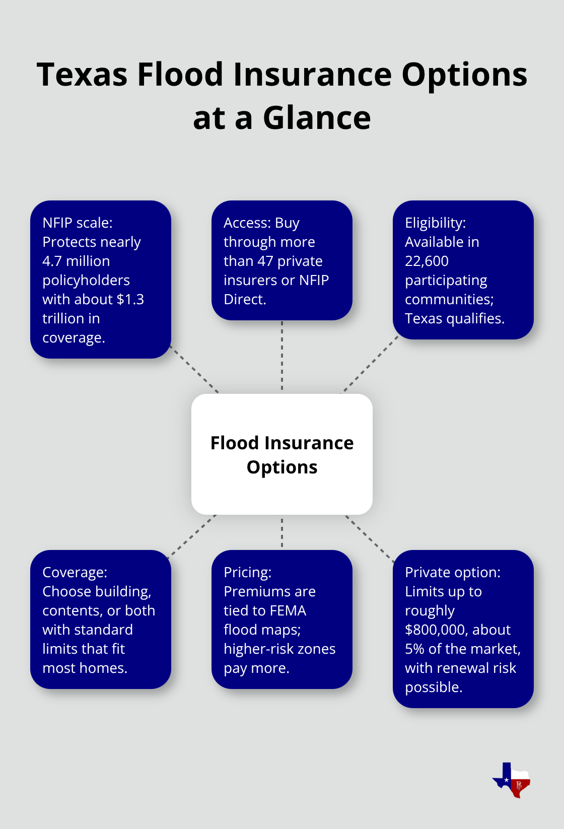 Hub-and-spoke diagram summarizing NFIP and private flood insurance options in Texas. - Hurricane flood insurance Texas